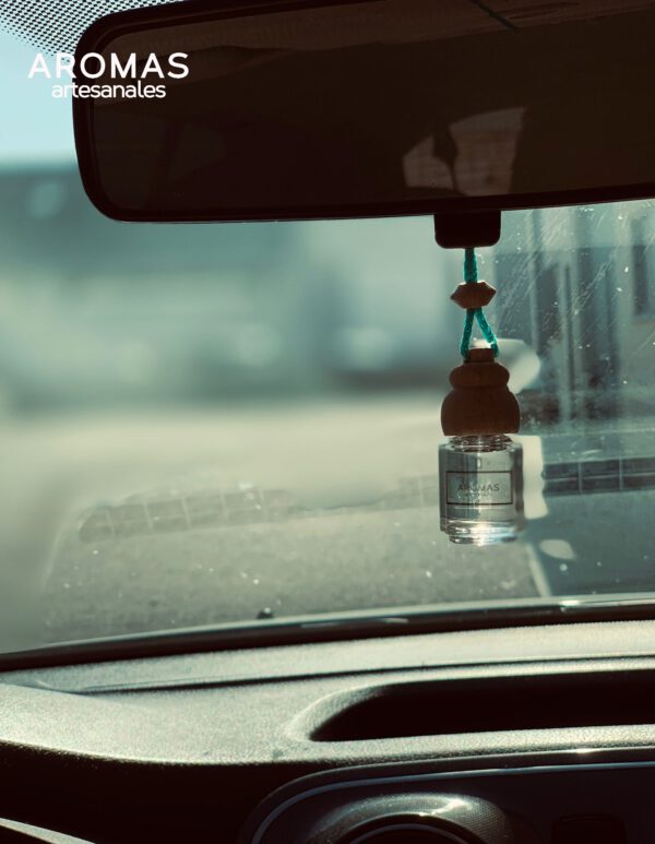 autoduft spiegel